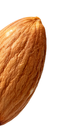 Magnesium